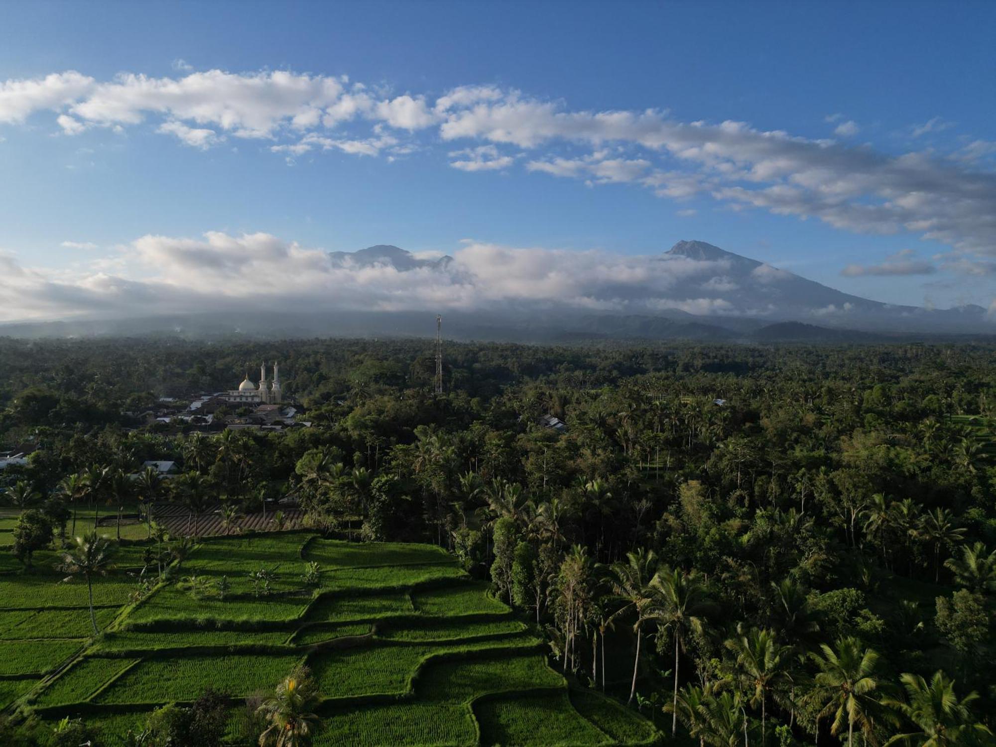 Green Orry Inn Tetebatu Exterior foto